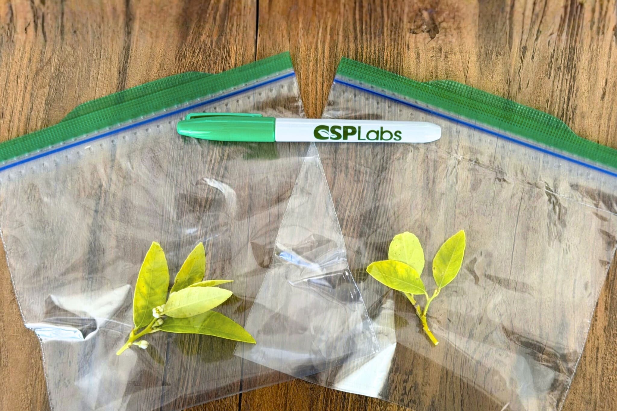 Request a Sample Collection Kit